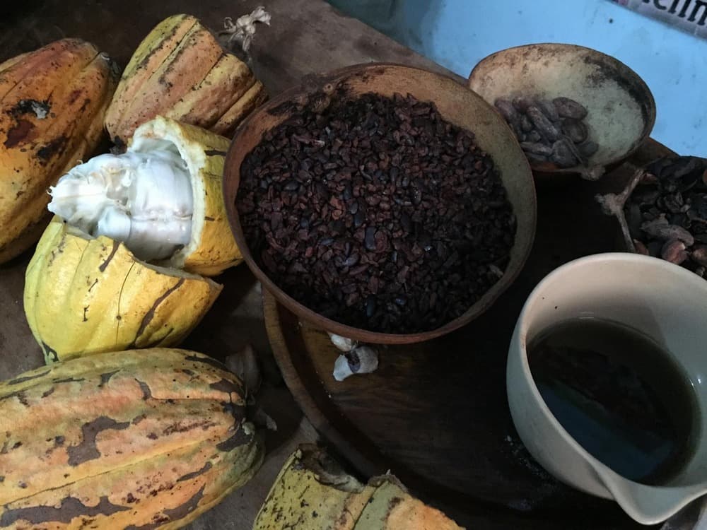 A wooden bowl filled with roasted cocoa nibs surrounded by fresh cacao pods and a small cup of liquid.