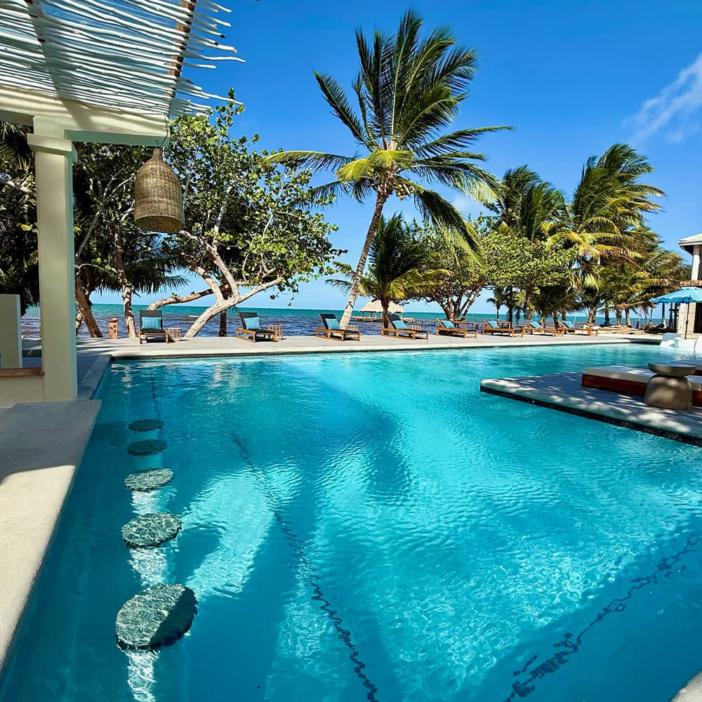 A serene poolside view surrounded by palm trees and clear blue water.
