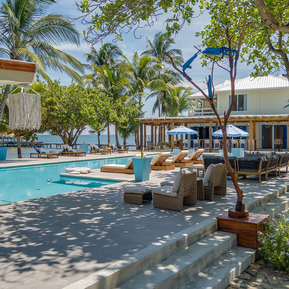 A tranquil poolside area with lounge chairs, palm trees, and a nearby house by the water.