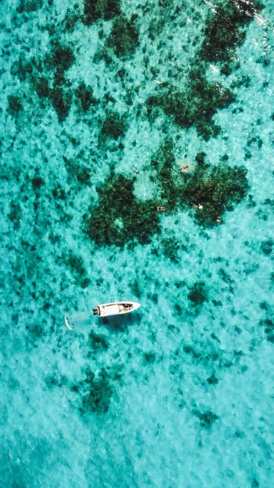 Aerial view of a small boat on clear turquoise water with patches of seaweed.