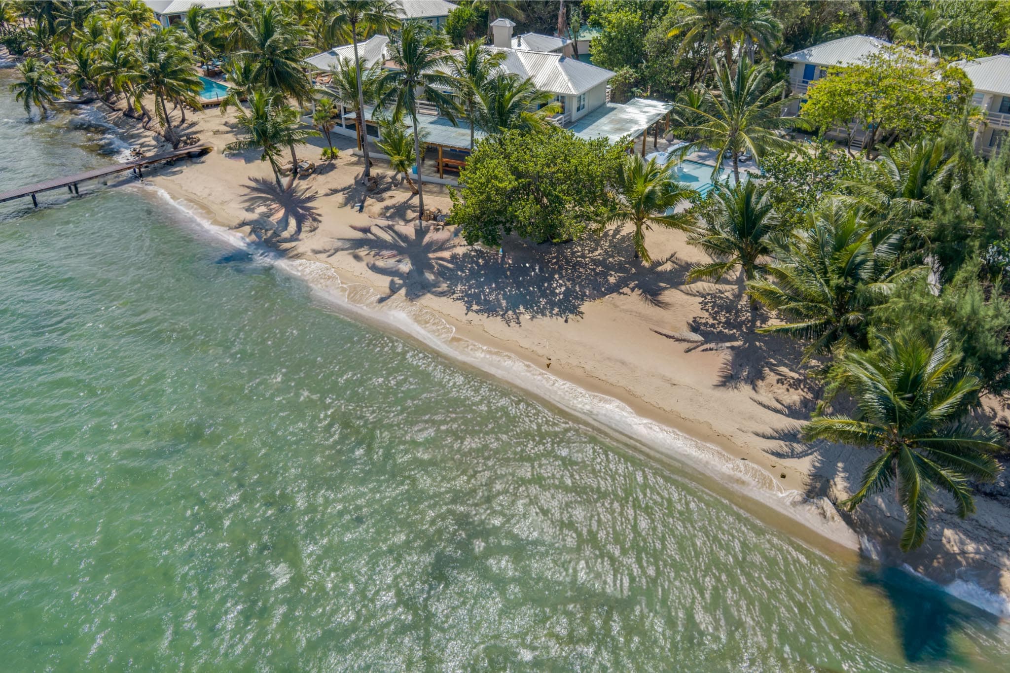 Aerial view of a sandy beach lined with palm trees and nearby beach houses.