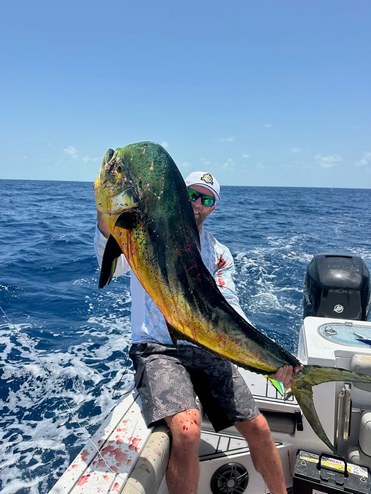 A person on a boat holds a large, vibrant mahi-mahi fish against a backdrop of the ocean.