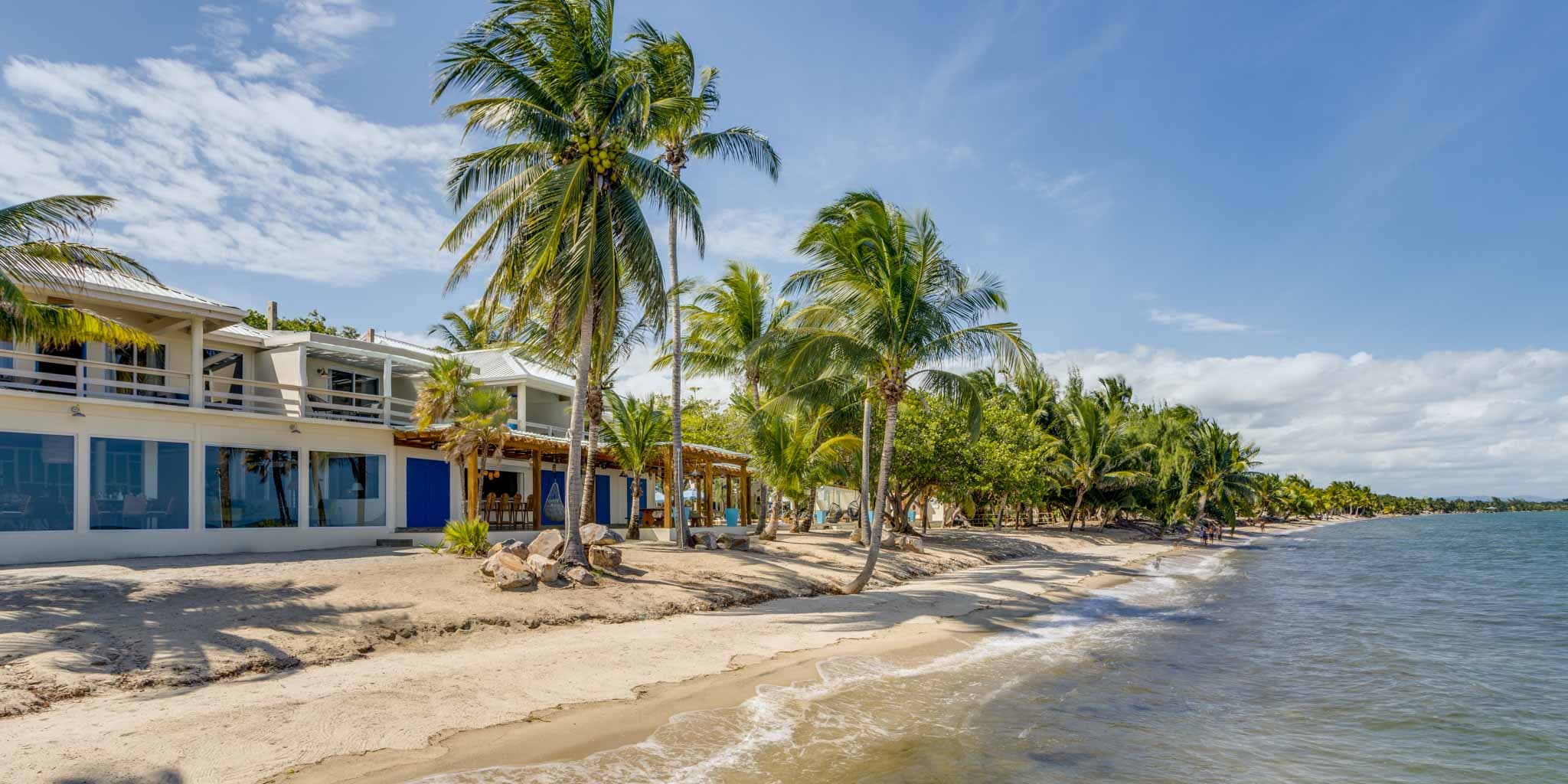 Beachfront view at Blue Reef Beach Resort with tall coconut palm trees lining the shoreline, white sand, and turquoise ocean water Beachfront view at Blue Reef Beach Resort with tall coconut palm trees lining the shoreline, white sand, and turquoise ocean water