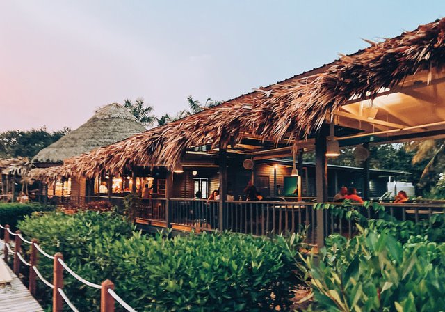 Deck with straw roof surrounded by tropical plants.