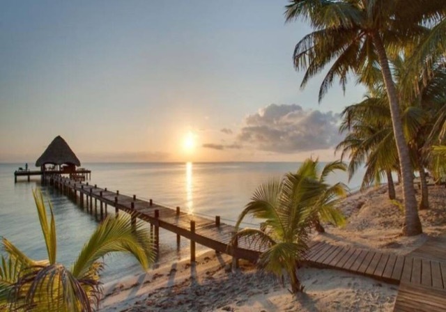 Dock with palm trees in the sand and the sun at the horizon with calm water.